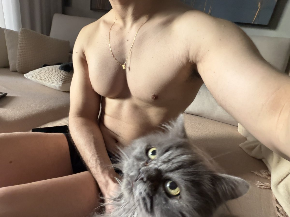 eyjajokull's tweet photo. meu gato me incentiva a biscoitar (sempre fica assim quando volto da academia) hahahaha https://t.co/y212GnV2eQ