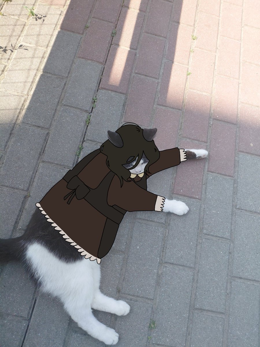 chef0rat's tweet photo. https://t.co/7rEDakm15G
