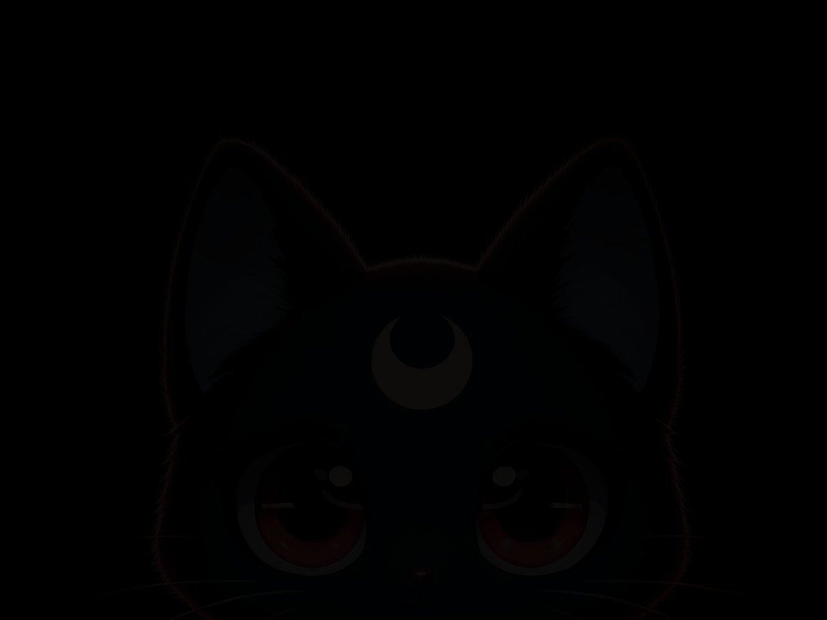 tsukionsolana's tweet photo. 4663 🐈‍⬛👔 https://t.co/rRef84FFPa