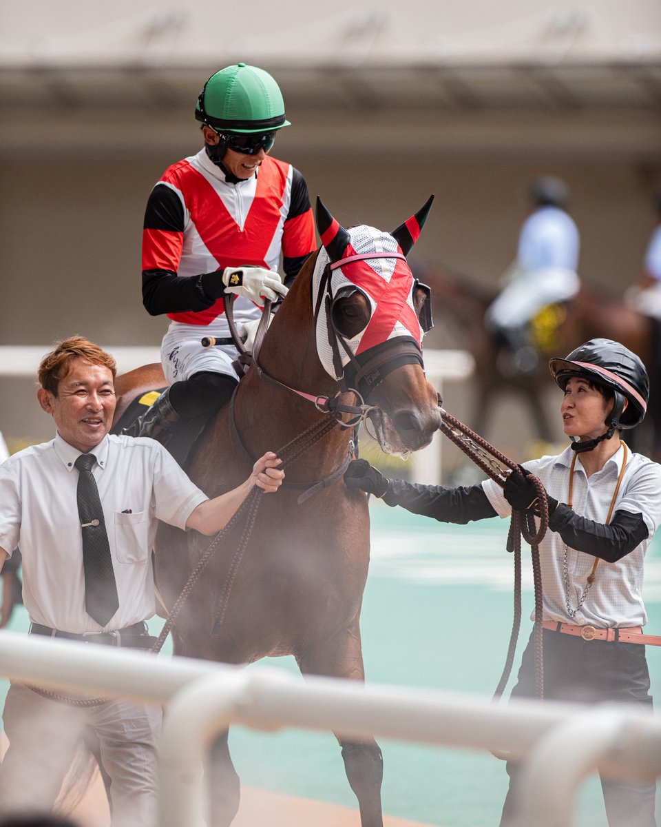 A_Photo0112's tweet photo. 2026/09/05 阪神11R エニフステークス

グランキングオー×幸英明騎手

勝負服のお揃いのメンコがかっちょいい👍 https://t.co/Tuca4ugk47