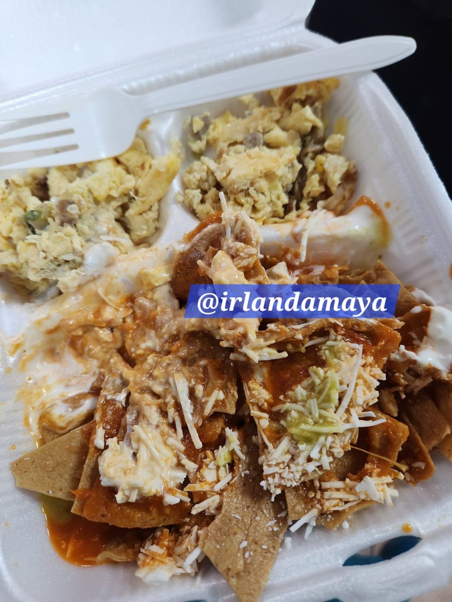 irlandamaya's tweet photo. Esta es la fauna que los médicos residentes se encontraban en su comida en el Hospital General de México... 👇 un centro de atención médica pública más importante de México y del mundo... 
 Este Hospital enfrenta ahora una emergencia sanitaria, dentro de sus propios muros… 135 médicos residentes y de alta especialidad enfermaron tras un brote de gastroenteritis infecciosa aguda, 41 estan hospitalizados...
Esto no puede ser!.. Habla del descuido y maltrato hacia los residentes, quienes además conforman una fuerza de trabajo muy importante (y barata) para el hospital... Los residentes del Hospital General de México, exigen algo tan básico como poder sentarse a comer, sin poner en riesgo su propia salud, ya que ellos cuidan y tratan la salud de los pacientes!... 👇🤢🤢🥴