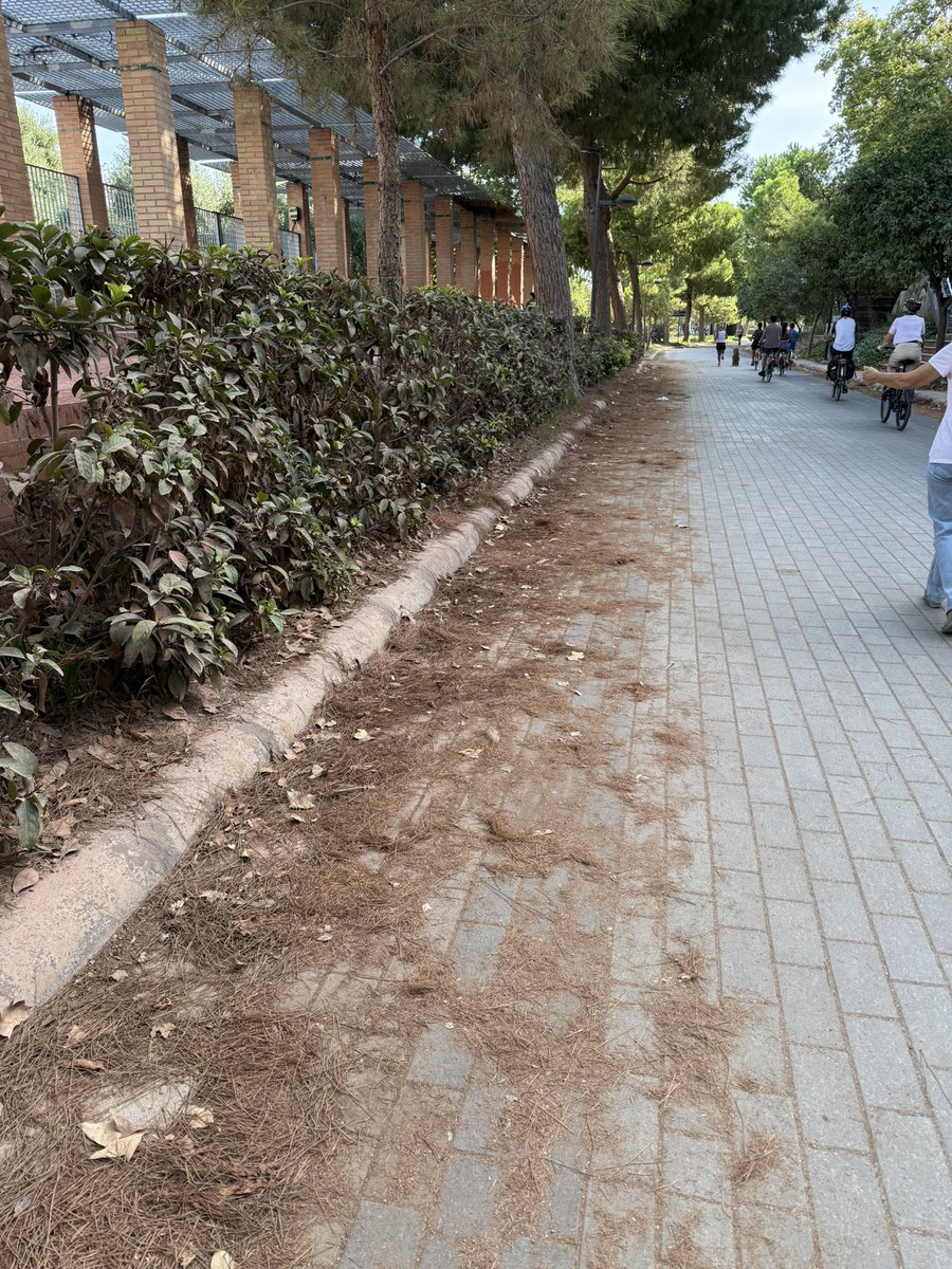 JoseLValiente's tweet photo. El cauce del rio está desde hace mucho tiempo sucio, lleno de tierra, ramas, pinocha…no puede encargarse el @AjuntamentVLC de cuidarlo, mantenerlo limpio y que no tenga aspecto de abandonado? La zona del Palau se cuida,el tramo de las pistas de atletismo porque no? https://t.co/zhvQDTYtYj