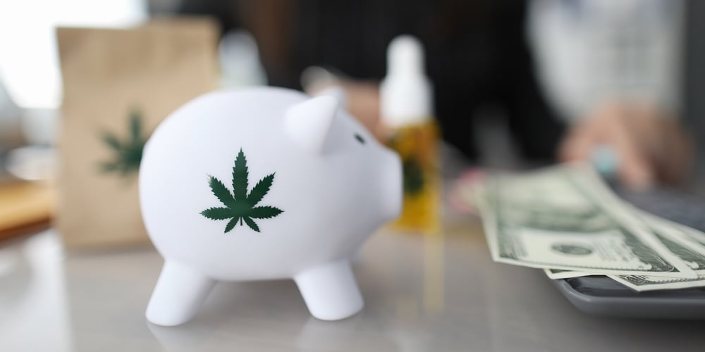 MitchellOsak's tweet photo. When Will Cannabis Firms be Banked?, by @MitchellOsak https://t.co/WLVVg9BlJR #cannabis #banking #SAFER #cannabisindustry #MSOS https://t.co/giT48mjP6L
