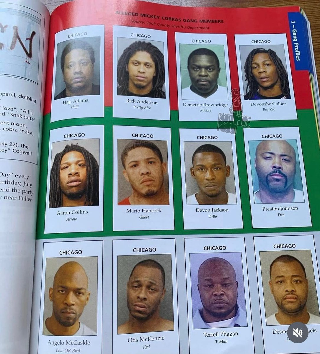 KollegeKidd's tweet photo. Lil Durk and King Von were featured in a Chicago Gang Book as members of the Black Disciples street gang.  Other notable Chiraq figures featured include OBlock Boss Top, 600 Edai, G Herbo, THF Bayzoo, Mubu Krump and 051 Melly https://t.co/YOE7ufI0nM