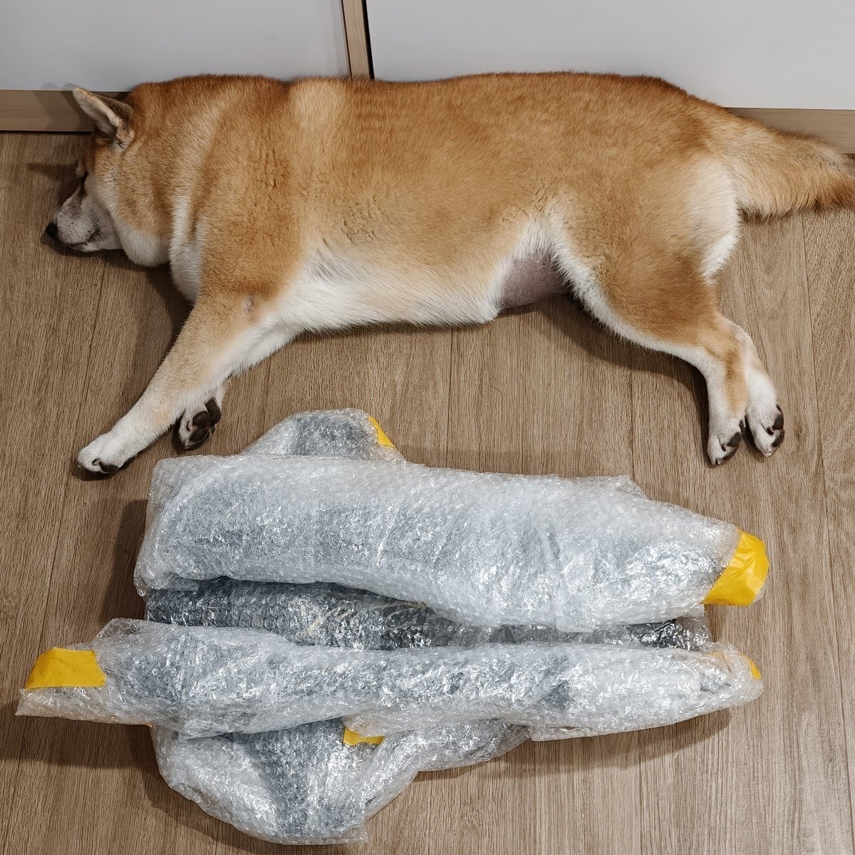 RegulusZwei's tweet photo. Deathbringer completed

Dog for scale https://t.co/AQPUyBNFCo