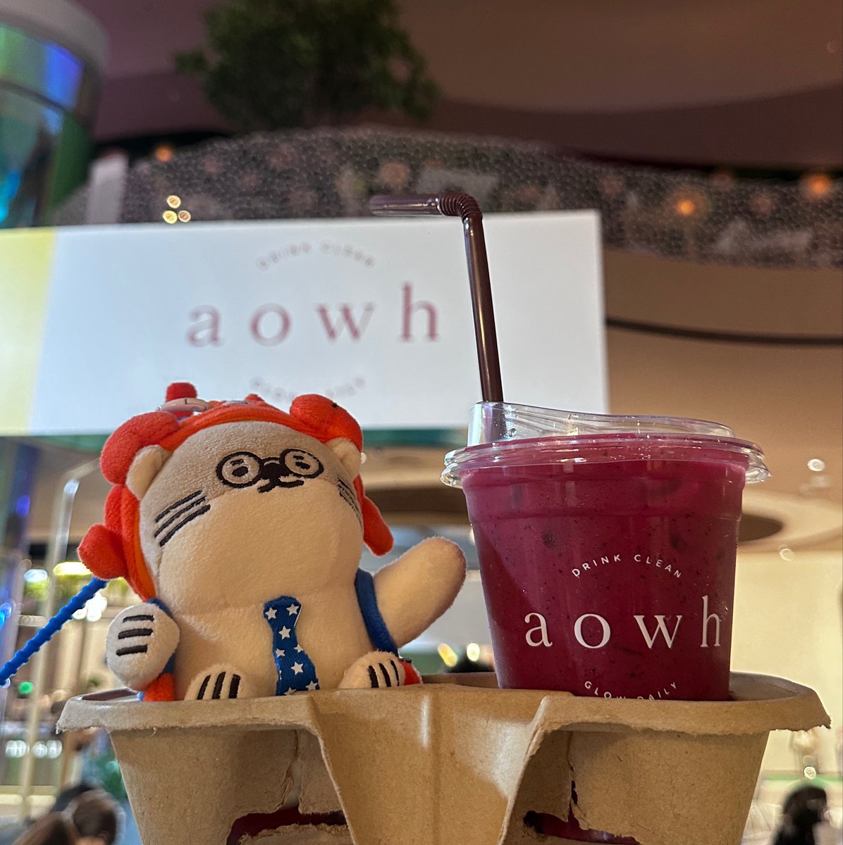 chukkhua's tweet photo. ป้ามาซื้อน้ำร้าน AOWH ตอนจะรับแก้วพนักงานยื่นถุงที่วาดรูปน้องนุ่งให้เพราะชั้นห้อยน้องอยู่yㅡy ฮื่ออออน่ารักมากเว่อ แล้วตอนป้าจะถ่ายรูปยังยื่นที่วางแก้วให้อีก บอกว่าเอาไว้วางน้องนุ่งข้างนึงวางแก้วข้างนึง made my day makkk🥹🎀💓

#williamjkp 🥤
#NONGNOOONG https://t.co/LuipffNJn8