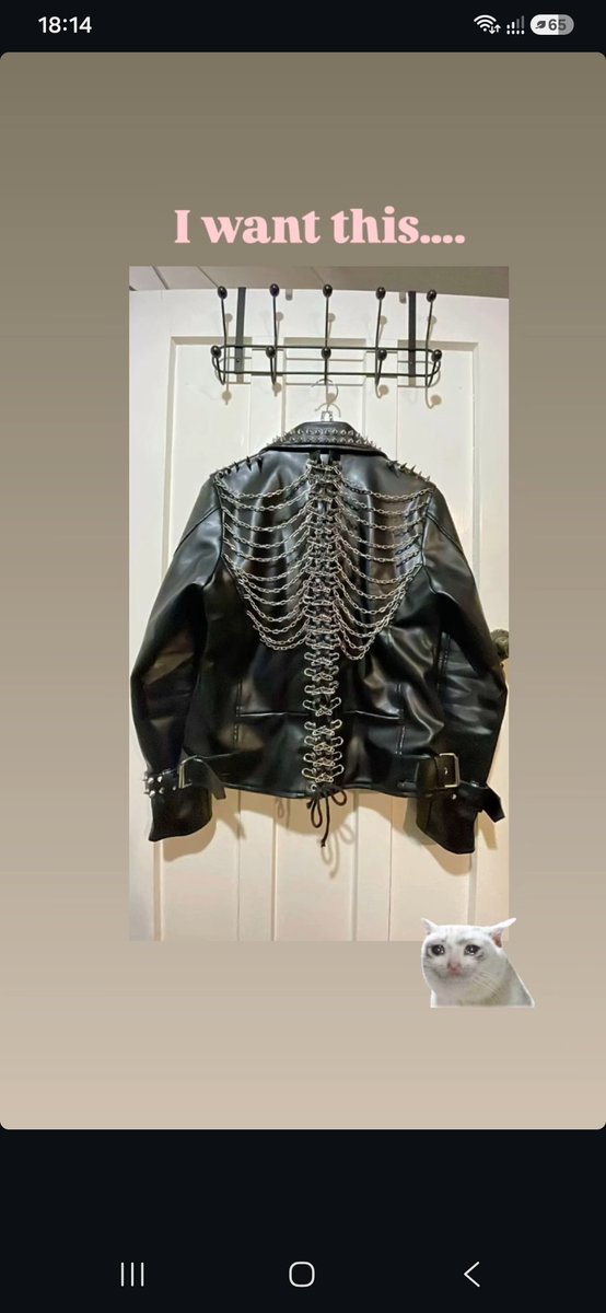 Agos6616's tweet photo. @Minalinzee It was actually Calli who posted about this jacket. That's why I made this art. https://t.co/3tWZA74tw9