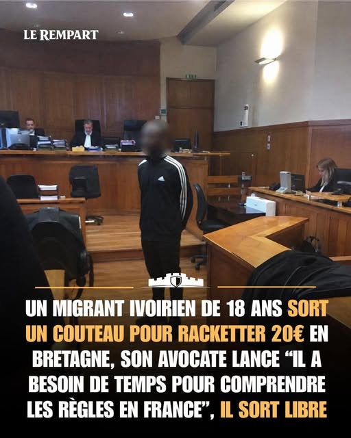 Nike_Air_Dogan's tweet photo. C'est bien connu qu'en Côte d'Ivoire, quand tu as besoin de 20 €, tu sors un couteau et tu rackette quelqu'un.
C'est une habitude qu'ils ont là-bas, et c'est pas facile de se défaire d'une habitude.
Sans déconner...
Et je suis certain qu'un juge a gobé l'excuse...
😒 https://t.co/Wn38Gjuucd
