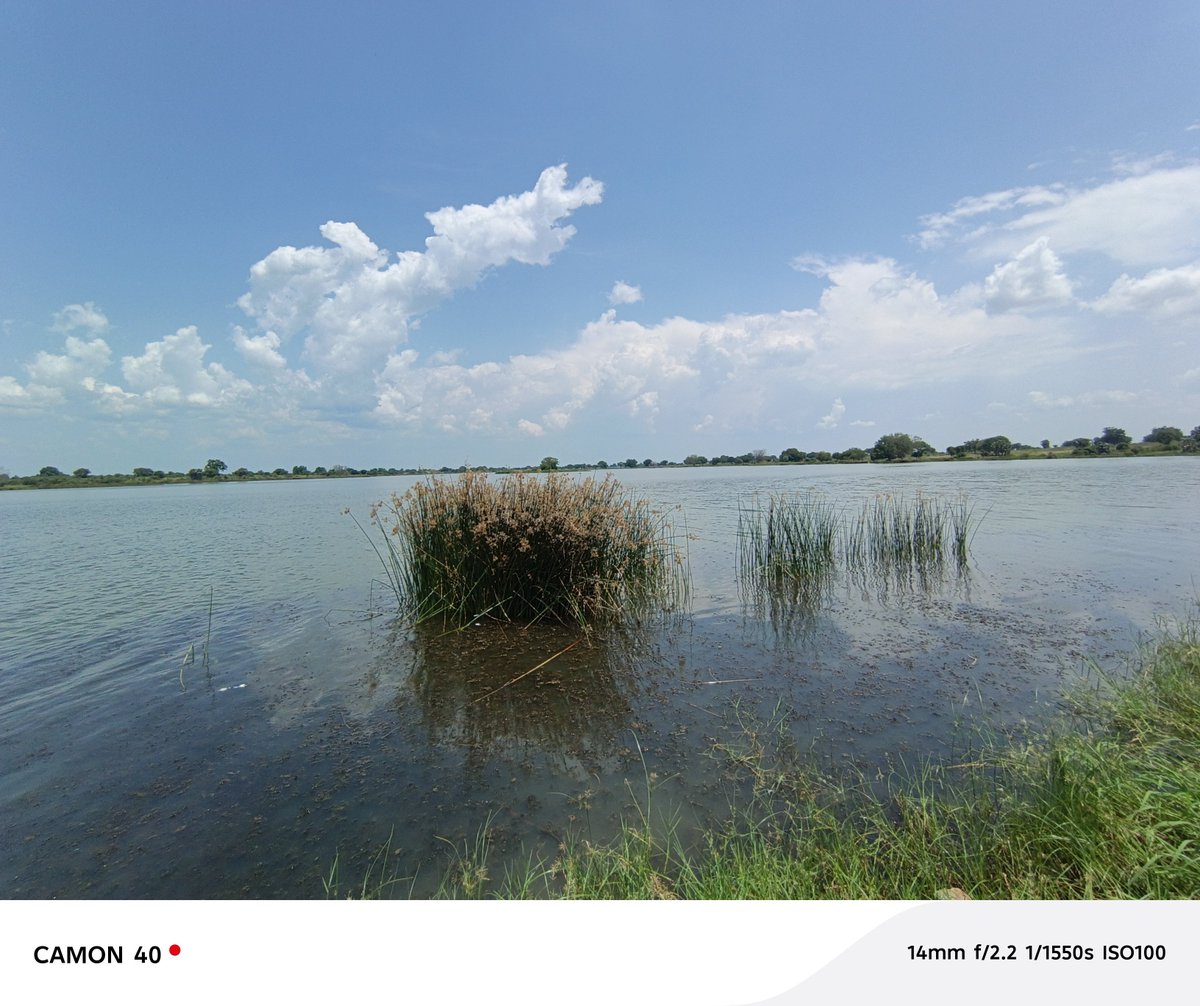AdiaJildo's tweet photo. A river in Jor Boma, Terekeka county https://t.co/3GjkNcJmXQ