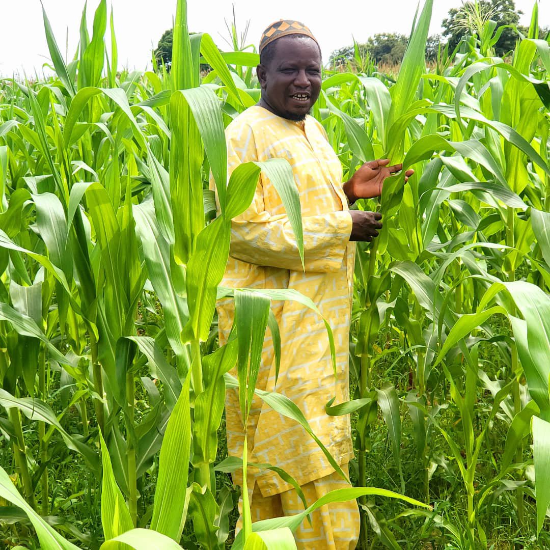 P2P2rs's tweet photo. @P2P2rs through its focal points in the CRR-North embarks on site monitoring of farmlands supported by the project. These included the Mbaye Wollof rice field, Ngunta village, Jarumeh Koto village, Sit Maram village &amp; Manna located in the Niani &amp; Sami Districts.

@AfDB_Group https://t.co/zNDEQjL7UH