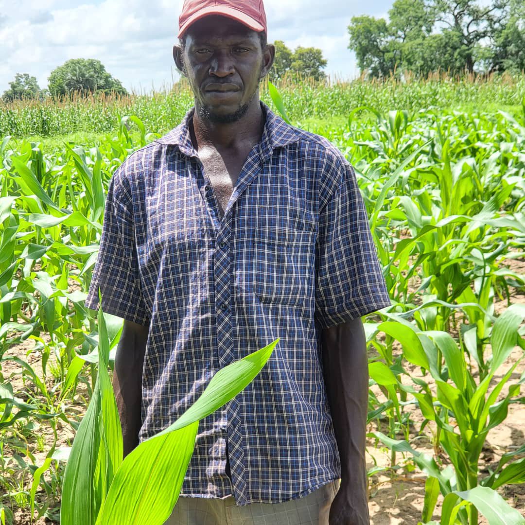 P2P2rs's tweet photo. @P2P2rs through its focal points in the CRR-North embarks on site monitoring of farmlands supported by the project. These included the Mbaye Wollof rice field, Ngunta village, Jarumeh Koto village, Sit Maram village &amp; Manna located in the Niani &amp; Sami Districts.

@AfDB_Group https://t.co/zNDEQjL7UH