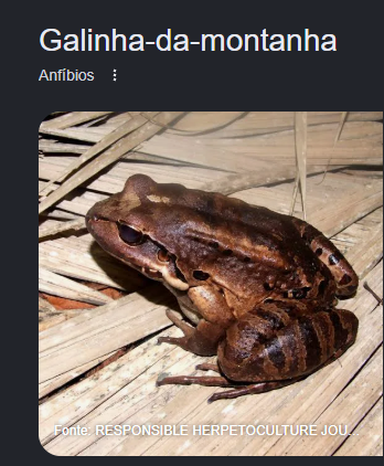 ashocolara's tweet photo. @morcegalunar foi o que eu pensei, mas nao, é esse filho da puta https://t.co/vccamZYuSg