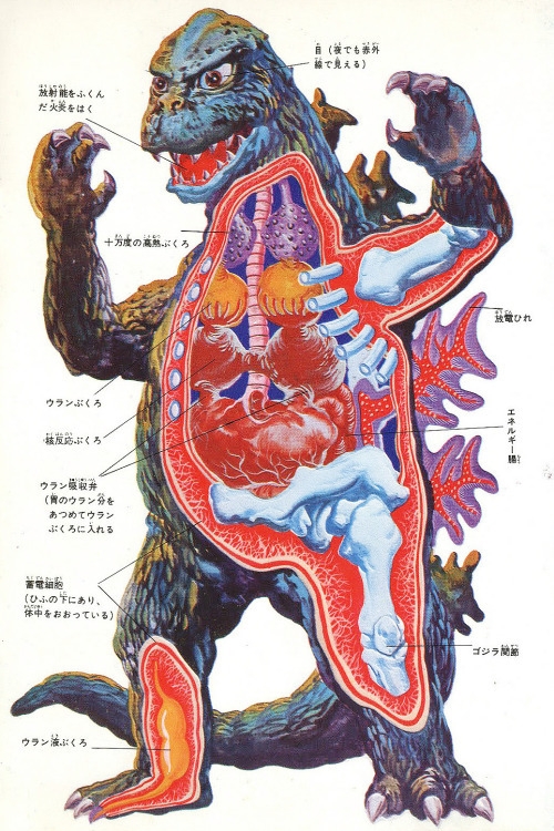 70sscifi's tweet photo. For Sci-Fi Cutaway Saturday: Two different versions of Godzilla’s anatomy. I don't know the artists behind either, unfortunately! https://t.co/HjvHqVTSsK