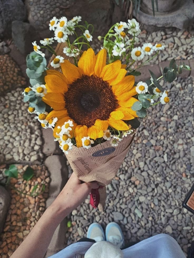 sunflowerchives's tweet photo. Who needs a sunflower today? 🌻 https://t.co/MLWBIshuVZ