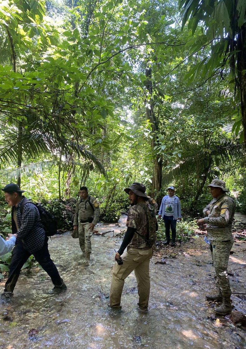 Defensores_FDN's tweet photo. 🌿 Seguimos protegiendo  recursos naturales. Realizamos operativos en Selempim con DIPRONA y  @CONAPgt  (Verapaces/Nororiente) para prevenir tala ilegal. 💚🌎

#DefensoresGT #ProtecciónForestal https://t.co/AfDcbzKnBE