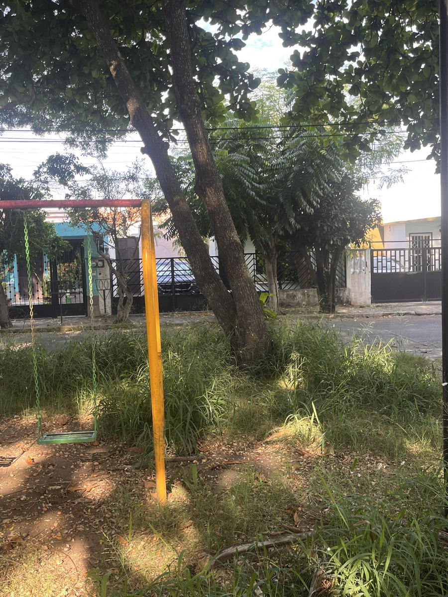 Oz_Rivera's tweet photo. @AyuntamientoVer Favor de enviar cuadrilla de parques y jardines a chapear áreas verdes del parque Las arboledas calle Oyamel entre guanábana y Suchil Fracc. Floresta. 
Se han levantado varios reportes previos a través del portal y no se ha tenido respuesta alguna. https://t.co/a1URCLaPt9