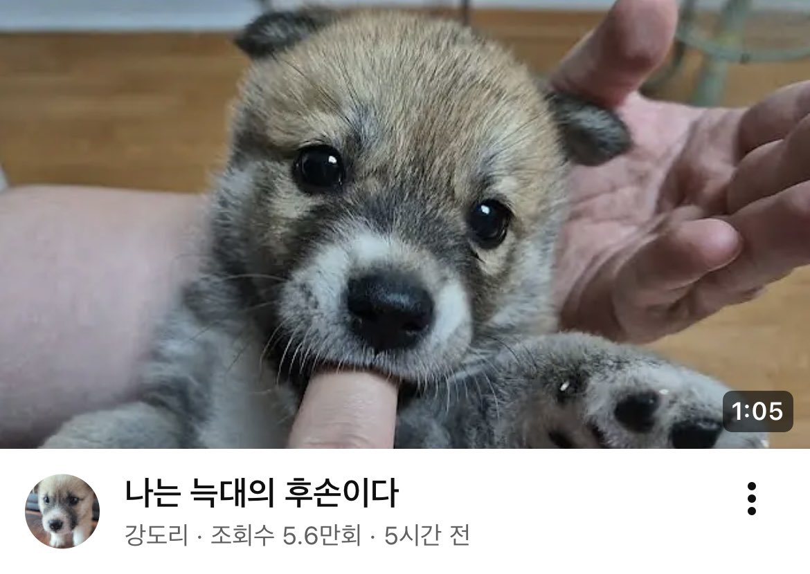 gong711805's tweet photo. 아 진짜 바보 너무너무 귀엽네 https://t.co/b5u7ySIADe