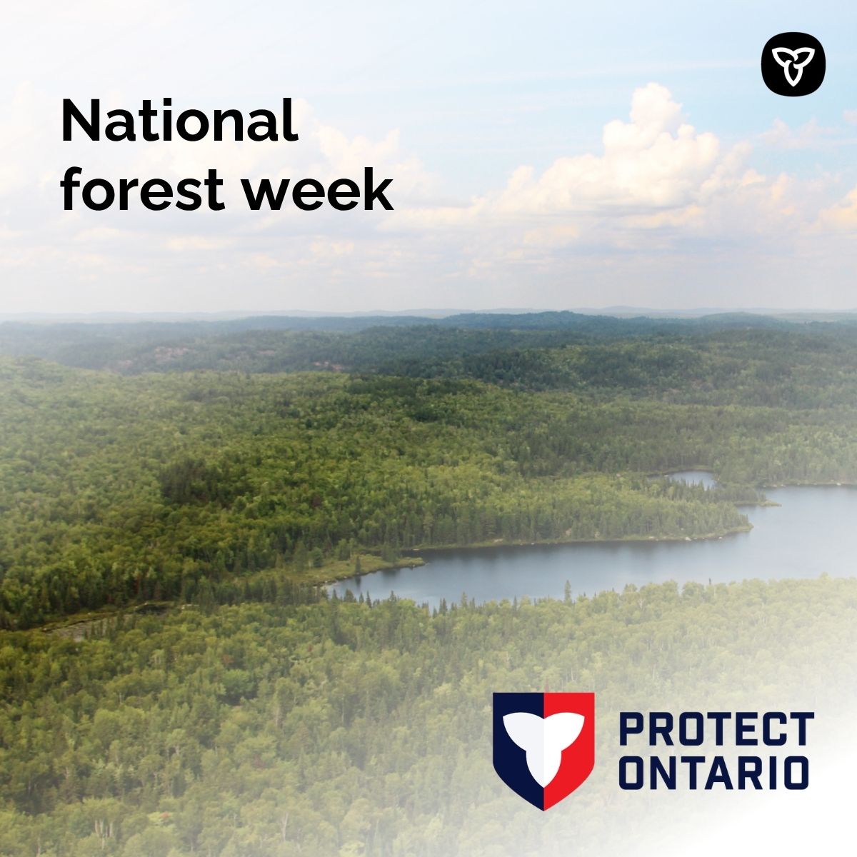 ONforestfires's tweet photo. It’s National Forest Week! Celebrate our rich forest heritage from September 20-26.

This year’s theme is Forest Pathways: Innovation and Sustainability, celebrates the innovative approaches helping us sustainably manage and protect our forests for generations to come. https://t.co/mgPqJM43vE