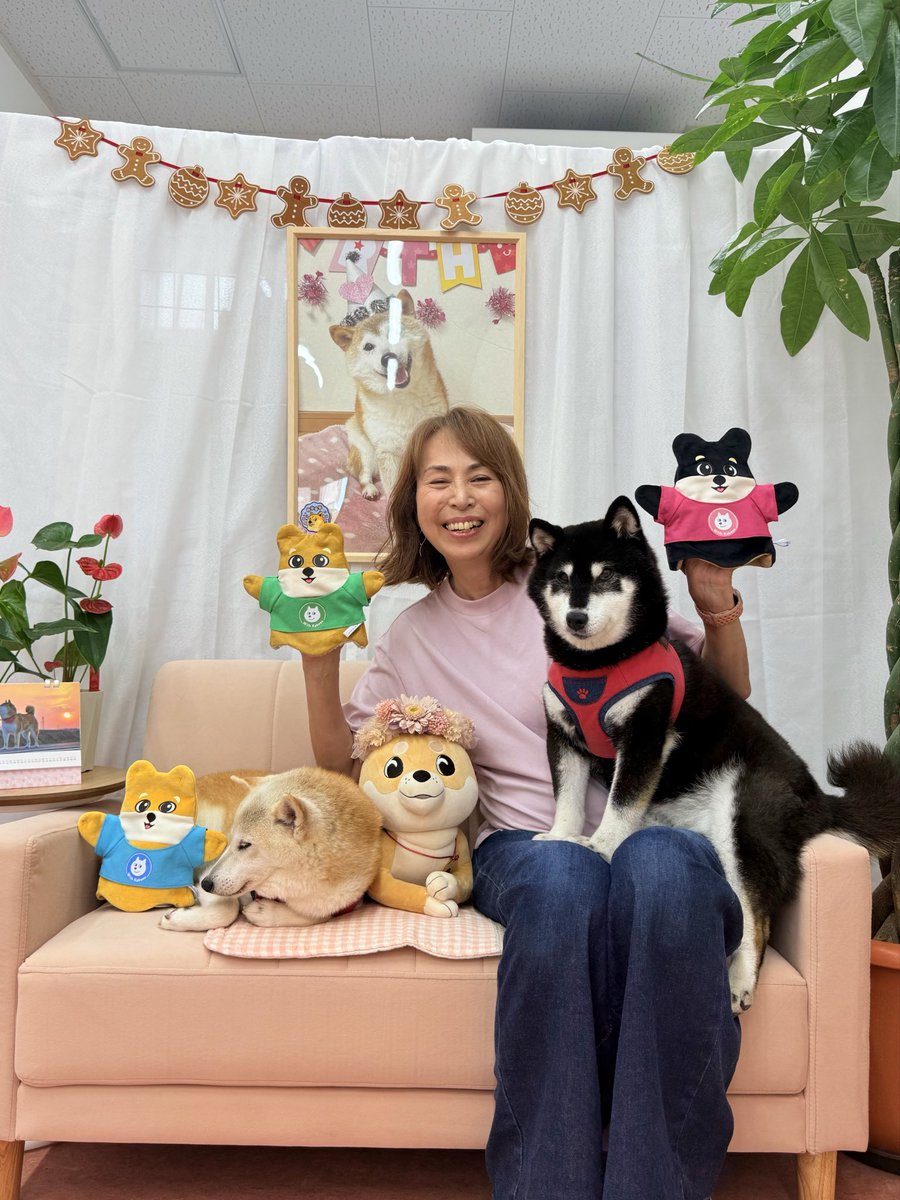 ShibuCoinSolana's tweet photo. See you in November Kabosumama, Neiro, Cocoro , Ginnan, Tsutsuji, Onigiri and Chibi Neko ? 💛🐶🇯🇵🐱🌸😊 https://t.co/eRfGIAhcz0