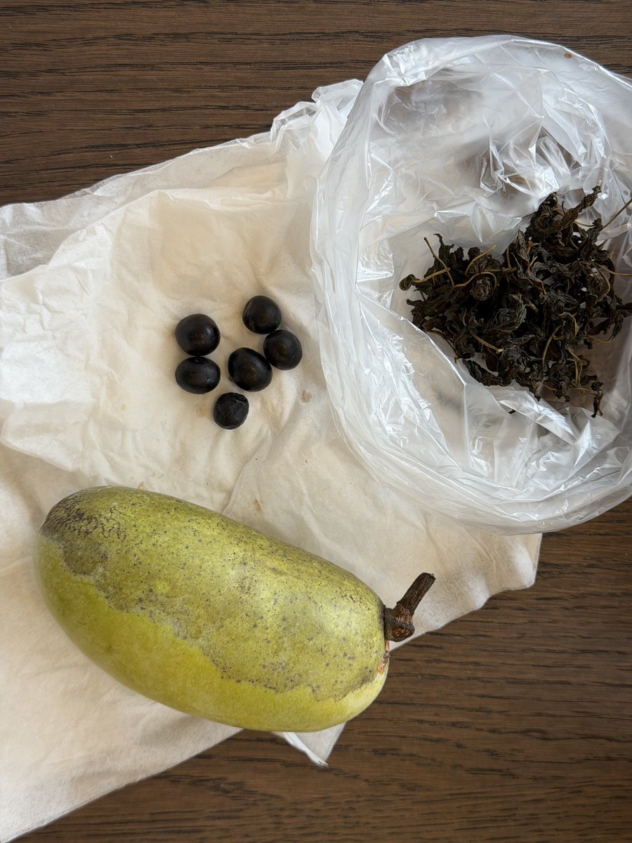atode_ng's tweet photo. ヤギのチーズ
液体のアップルパイ
親鳥の燻製
カレーリーフの実とポポー https://t.co/fBUdPOLPD9