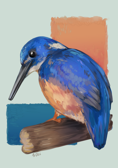 Save_someday's tweet photo. 습윤 브러시 (Wet Oil Brush)
무료
https://t.co/bBMsN5OXSo https://t.co/ZM5bBTPEaG