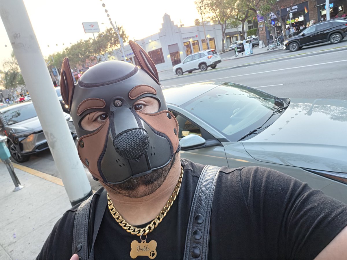 montiago949's tweet photo. Oh, you like bad boys? Good... because I'm bad at everything. https://t.co/QocePw2zEI