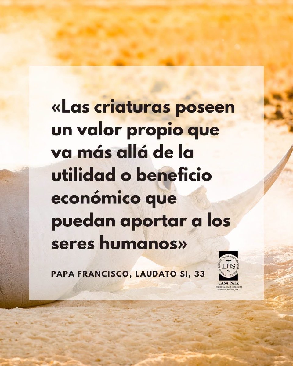 casa_paez's tweet photo. Tiempo de la creación-día 5

La biodiversidad no es un mero recurso económico; cada criatura refleja una chispa de la belleza y sabiduría de Dios Creator.

#TiempoDeLaCreación #LaudatoSi https://t.co/qKBikC1Fwu