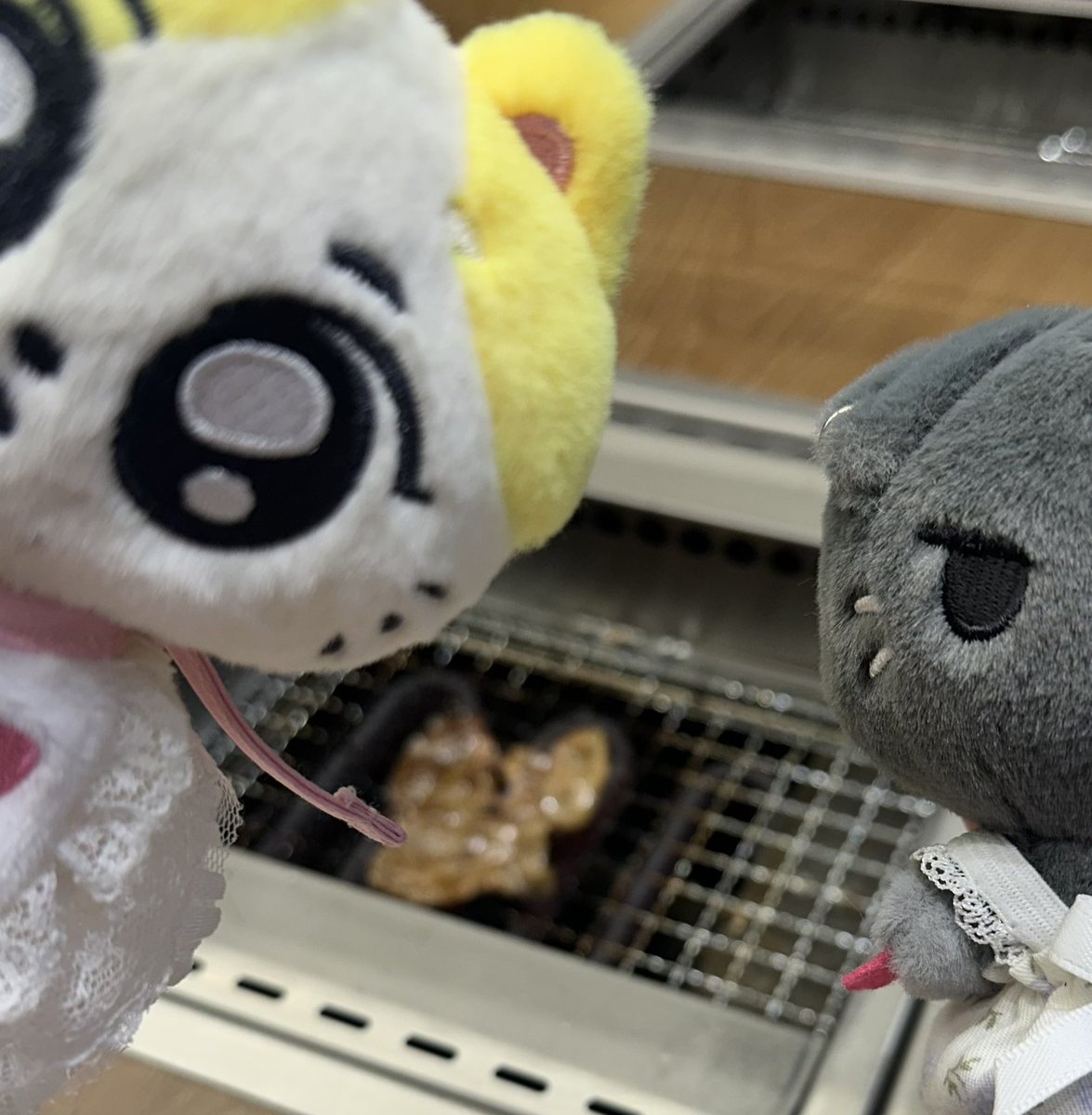 nitunimeow's tweet photo. 🐈🐈‍⬛🐽🍹🍹 https://t.co/NyOR3ZXxVi