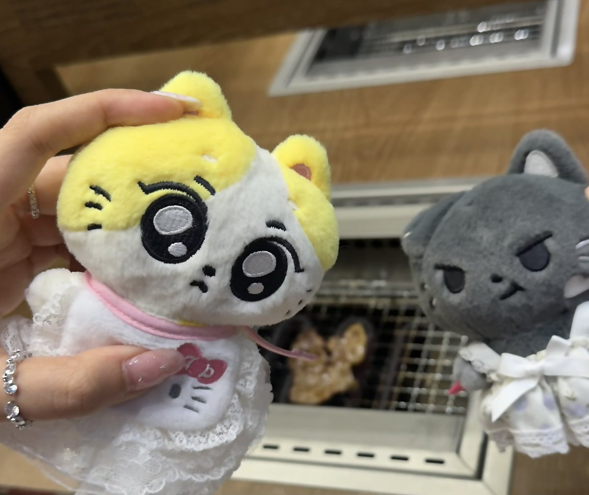 nitunimeow's tweet photo. 🐈🐈‍⬛🐽🍹🍹 https://t.co/NyOR3ZXxVi