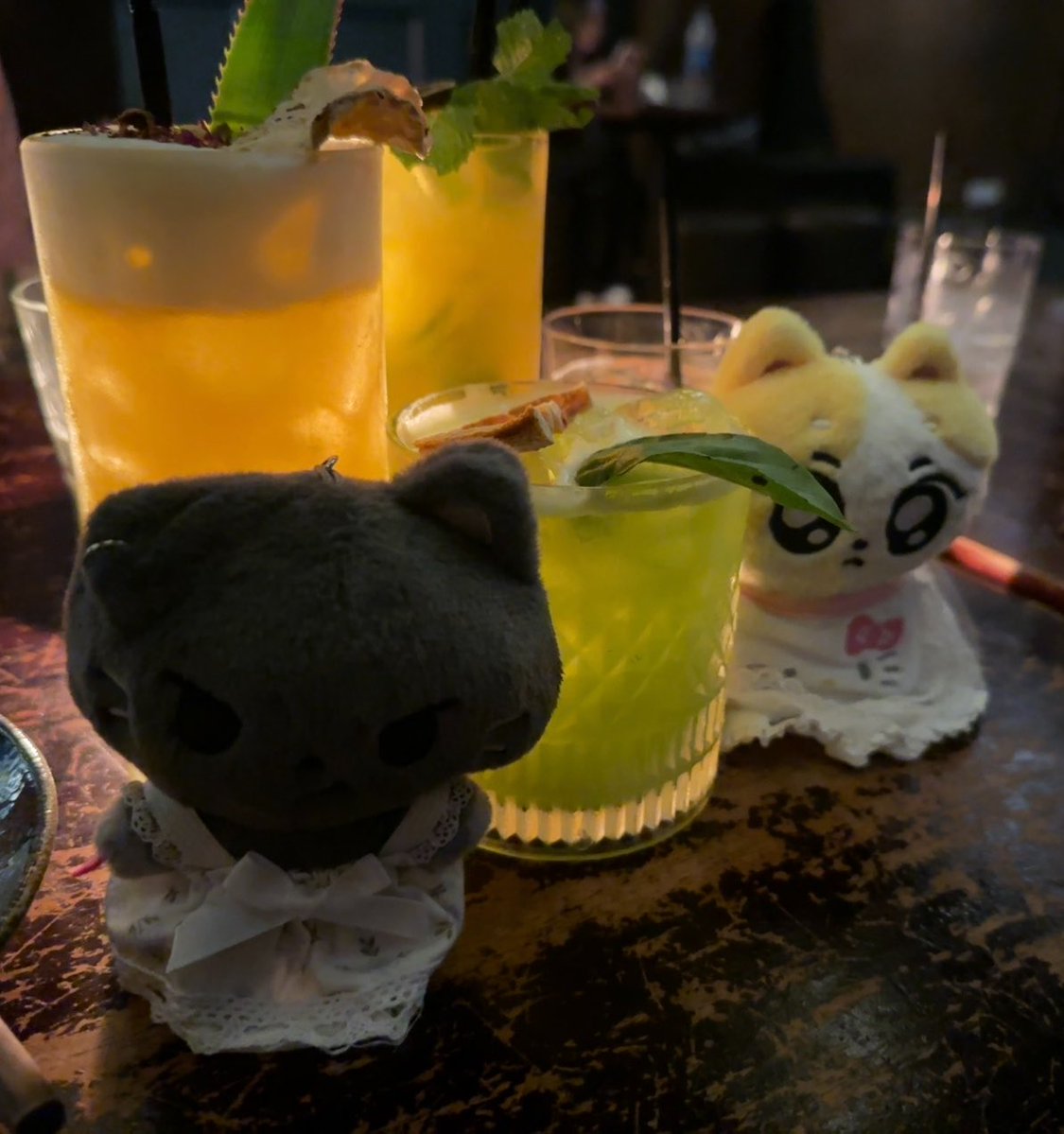 nitunimeow's tweet photo. 🐈🐈‍⬛🐽🍹🍹 https://t.co/NyOR3ZXxVi