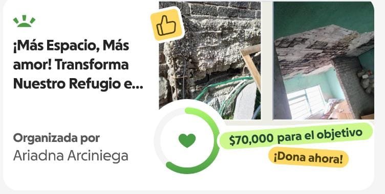 Ari_Arciniega6's tweet photo. Con Todo el corazón y el alma por delante Invitamos a Todos ustedes a Sumarse a éstev bello proyecto de Vida que es para rehabilitar los espacios de este pequeño y humilde refugio , se acercan los tiempos de Frío y es algo que me preocupa en Verdad , Porfavor súmate con Cualquier 🪙 a mi Go found me