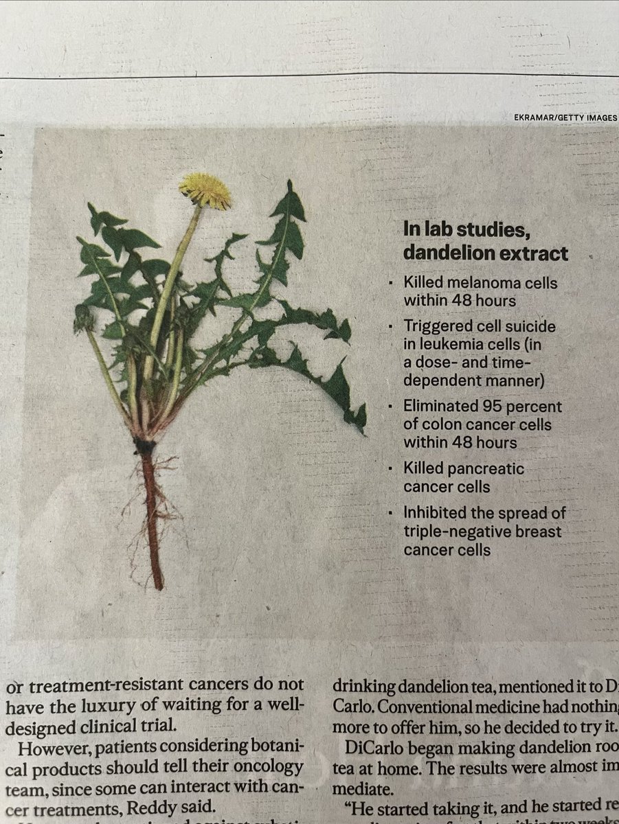 rebneese's tweet photo. @Scottobix Have you looked into dandelion root extract? https://t.co/w1zIE0jzoD