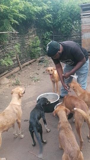 Catherine_cat23's tweet photo. Together we can save these voiceless dogs as we saved #savelucky
Kindly @brendanmjones can you help us , these animals rely on you donation please help with any thing you have,
Donate any on our link

https://t.co/aiKTCozxfZ https://t.co/LfWOBWLzK0