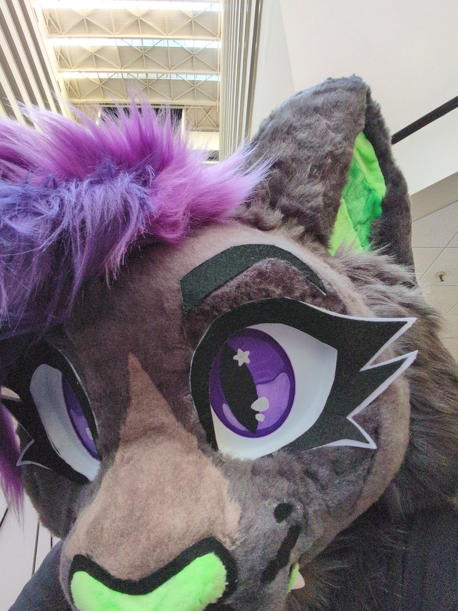 VTallSomething's tweet photo. beep https://t.co/aXSYjyhcjR