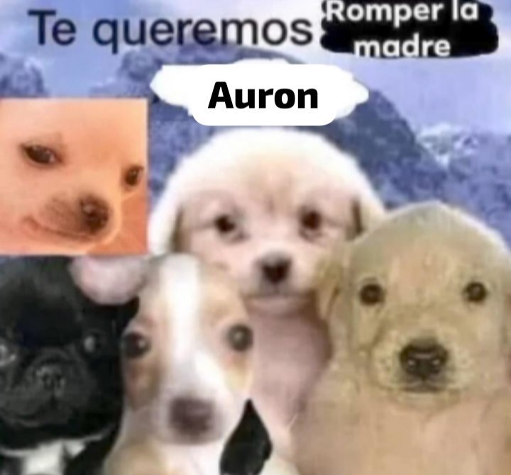minaplay04's tweet photo. que no se pierda la costumbre de expulsar a auron del fandom https://t.co/PJAPQ0mW60