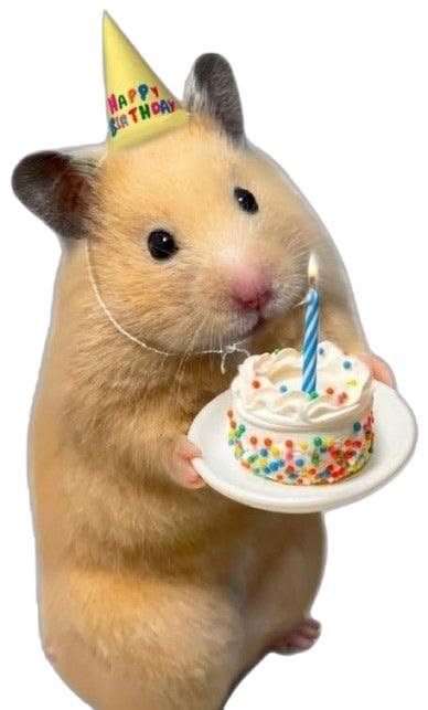 hanjlxx's tweet photo. @TeoAndMermaid İYİKİ DOĞDUN NN NNN 🎉🎉🎉🎉🎉🎉😛😛😛😛 https://t.co/fLicBh6qwY