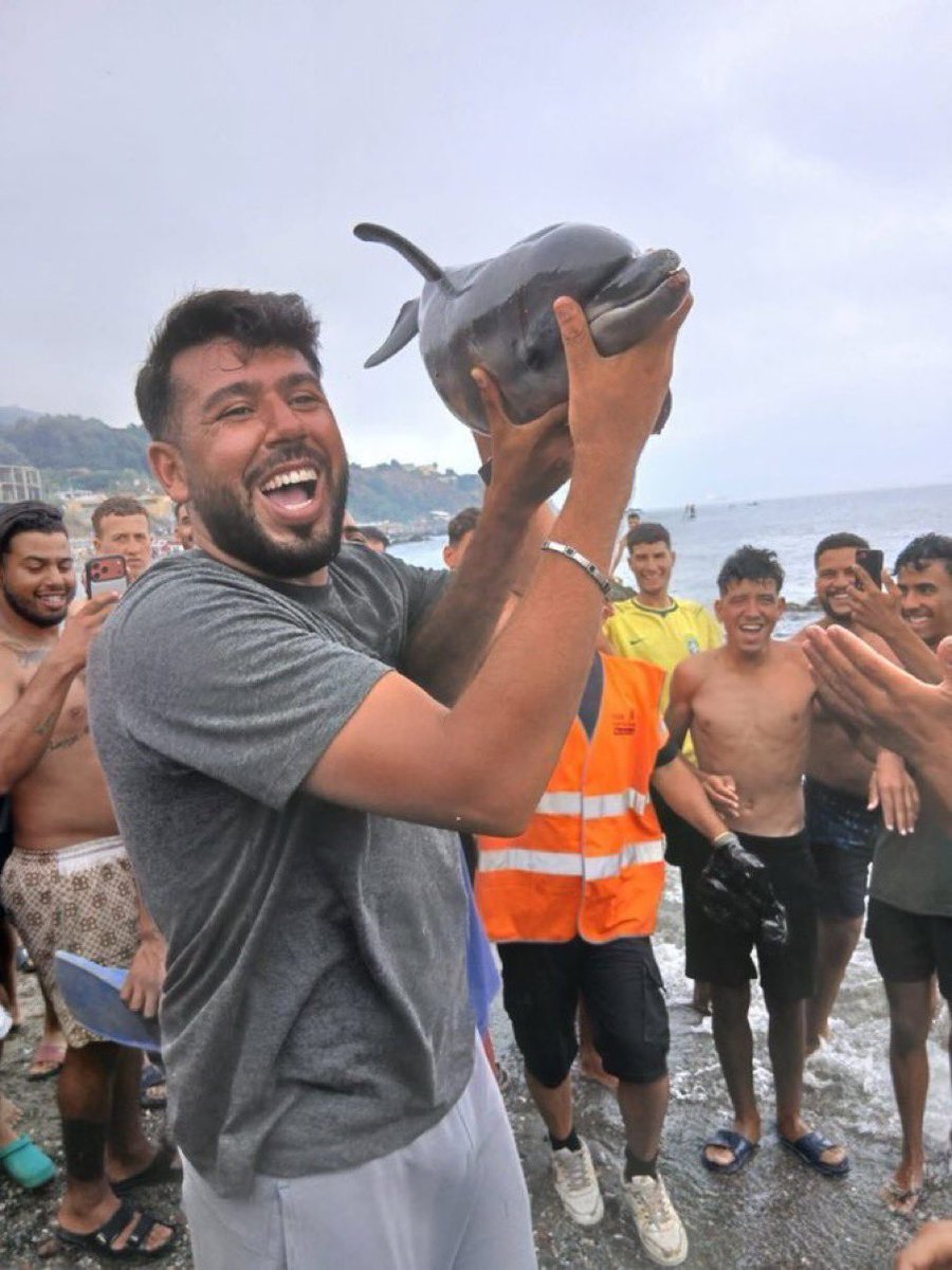 La_SemiYA_dl_VD's tweet photo. Los marroquís tienen un CI medio de 67,03 puntos

La gorila Koko, puntuaba en 85 https://t.co/ujR1NKLRI5