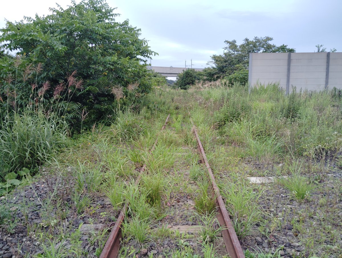 nomboo6's tweet photo. 青函トンネルへ向かう北海道新幹線と貨物線の合流部分辺りに来ました

1枚目　貨物列車が津軽線から分岐し大きな弧を描くように新幹線に合流していきます

2枚目　逆に北海道から本州に来ました貨物列車

3枚目　2022年の大雨で甚大な被害の為運休中の津軽線:大平駅

4枚目　津軽線を快走　貨物列車 https://t.co/5RTAfnZRLU