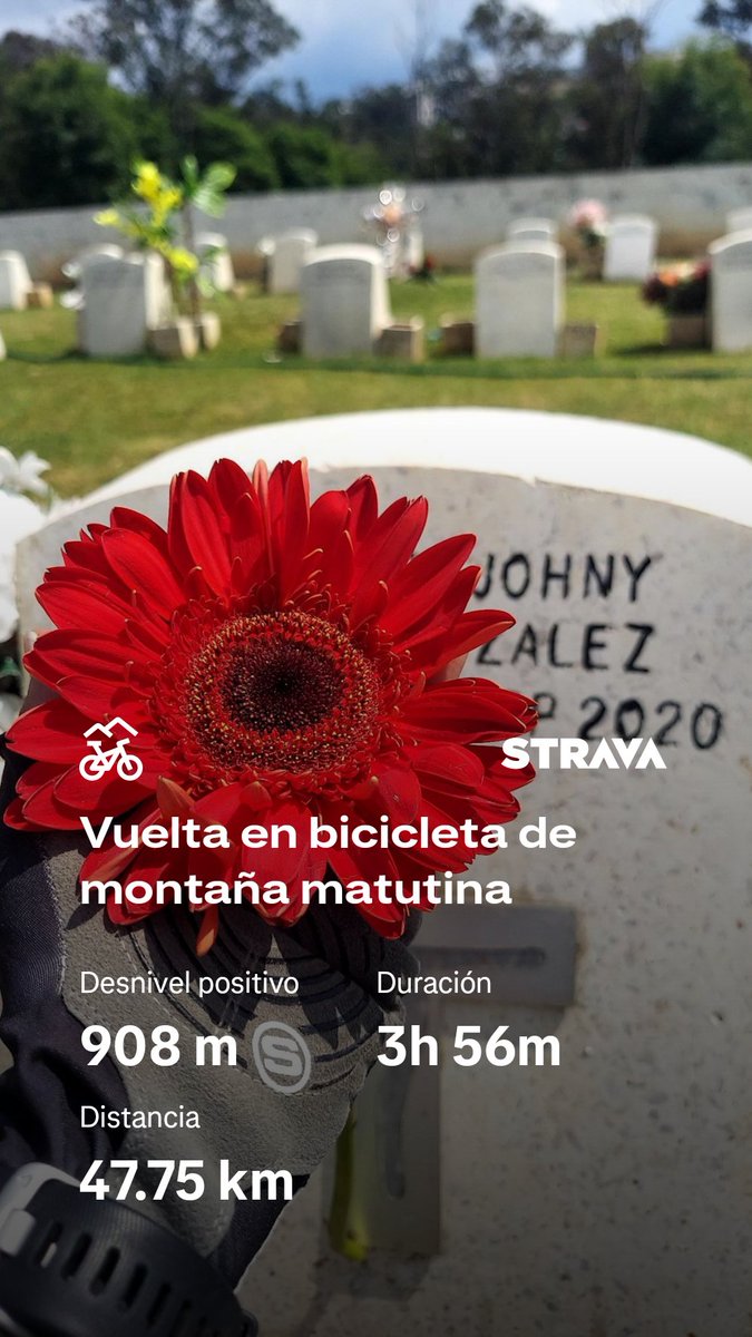 almagargon's tweet photo. Echa un vistazo a mi actividad en Strava: https://t.co/Q8tdLqpmwi https://t.co/SoTEZizuqw