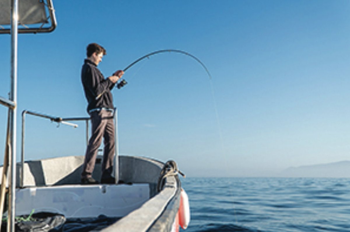 WFLInsurance's tweet photo. Getting ready for your first boat fishing trip, but don’t know where to start? 

These beginner fishing tips will catch you up to speed on everything you need to know: https://t.co/046aoMTkOO 

#WFL #Insurance #Boating #Fishing #FishingTrip https://t.co/vI3uTLqBFy