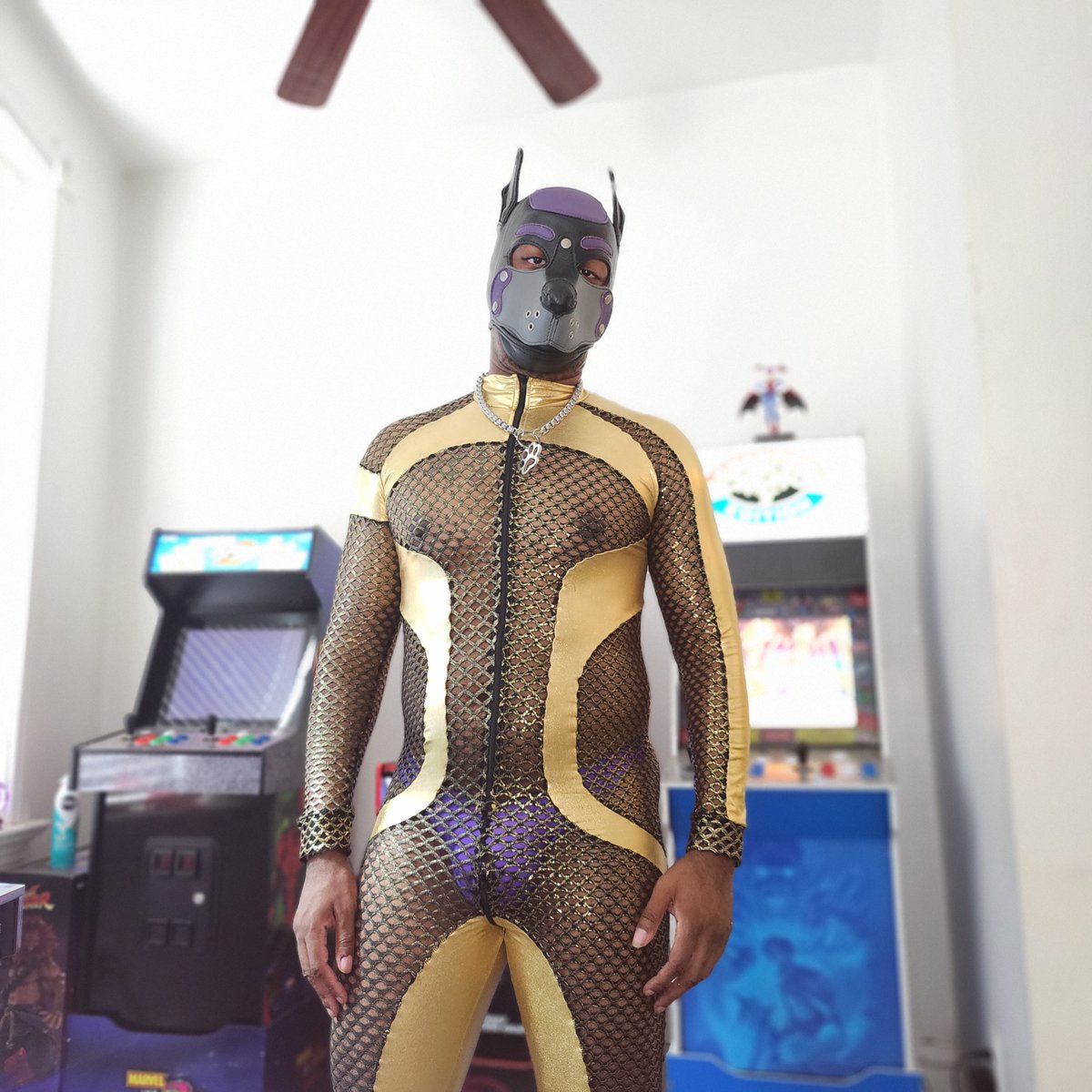 PupSpec's tweet photo. Quick picture to see if it fit https://t.co/YWKwKJMX7i