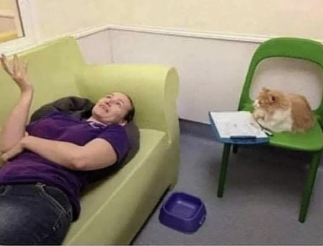 RespectfulMemes's tweet photo. Wow, that sounds tough. Have you tried sprinting through the house at 3 AM for no reason? https://t.co/SkYQpzD4L7