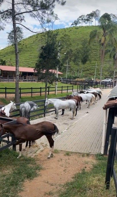 Miigue1993's tweet photo. Obsesionado por cumplir estas 4 metas. https://t.co/5XmablAJ8p