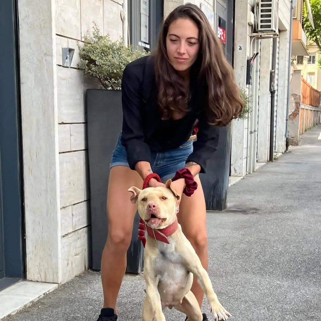 pretty_julie3's tweet photo. My favorite place in the world is anywhere my dog chooses to stay beside me
Videos here
https://t.co/Z8ADC5xsxc
#zoophillia #dogknot #zooprideisvalid
#zoophile
#hypnotistzoophilesarevalid #zoophiletwt https://t.co/zdfCcSPmJs