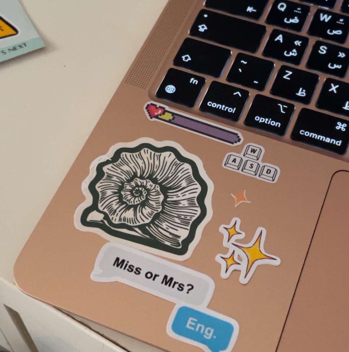 qqwwf0's tweet photo. first week of level 6 👩🏻‍💻 https://t.co/Mx46yKOha2
