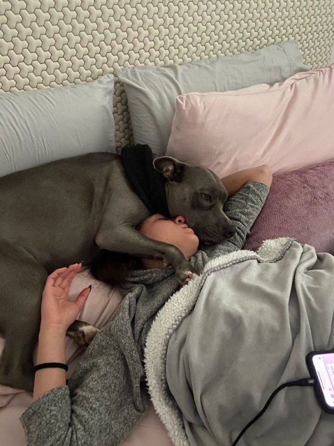 JulesPawsngct9's tweet photo. Zoo model who gives pleasure to her dogs because she likes it so much dog!
念
TELEGRAM

 https://t.co/uz8gjD2a08

#zoophillia #zoosarevalid #beastiality #dogknot #zooprideisvalid #zoophile
#antizoo #antizoophileantizoo #k9girl
#zoopride
#zoophilepride #zoopositivity
#Bestiality https://t.co/spaJGV459Y