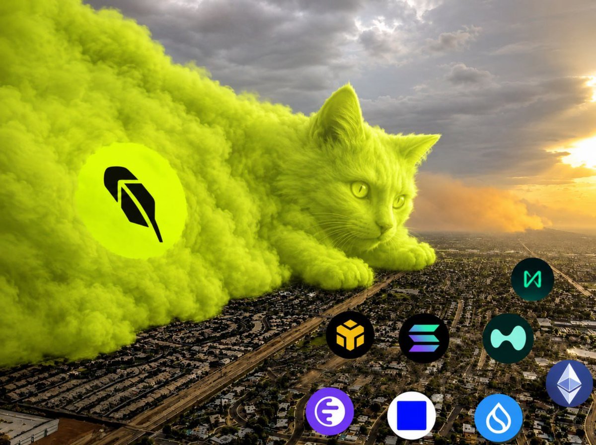 MemesRobinhood's tweet photo. cat season never left  

it just moved to the hood https://t.co/iLdHBDotXs