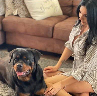 knotty_mia7's tweet photo. Wanna see more!!!
Ask 4 menu👇
🔗

https://t.co/fvLmyw5Vg6

#artofzoo #zootwt #dogbitch #zoophille #zoopositivity #zoopride #zoophillia #zoosarevalid #beastiality
#dogknot #zooprideisvalid 
  #k9girl #zoopride
#zoophilepride #zoopositivity
#Bestiality #hypnotistsappho https://t.co/M9XLYyDrNB