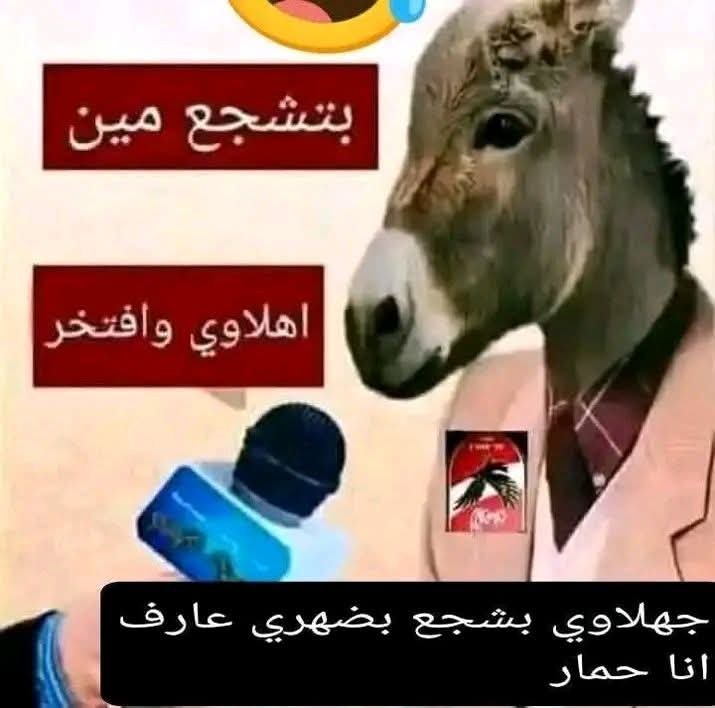 CfdgtdA's tweet photo. @Amerelamayreh خير يا حمار اللوائح هي لسه بتحرقك يا اهلاوي https://t.co/RwB67uHat0