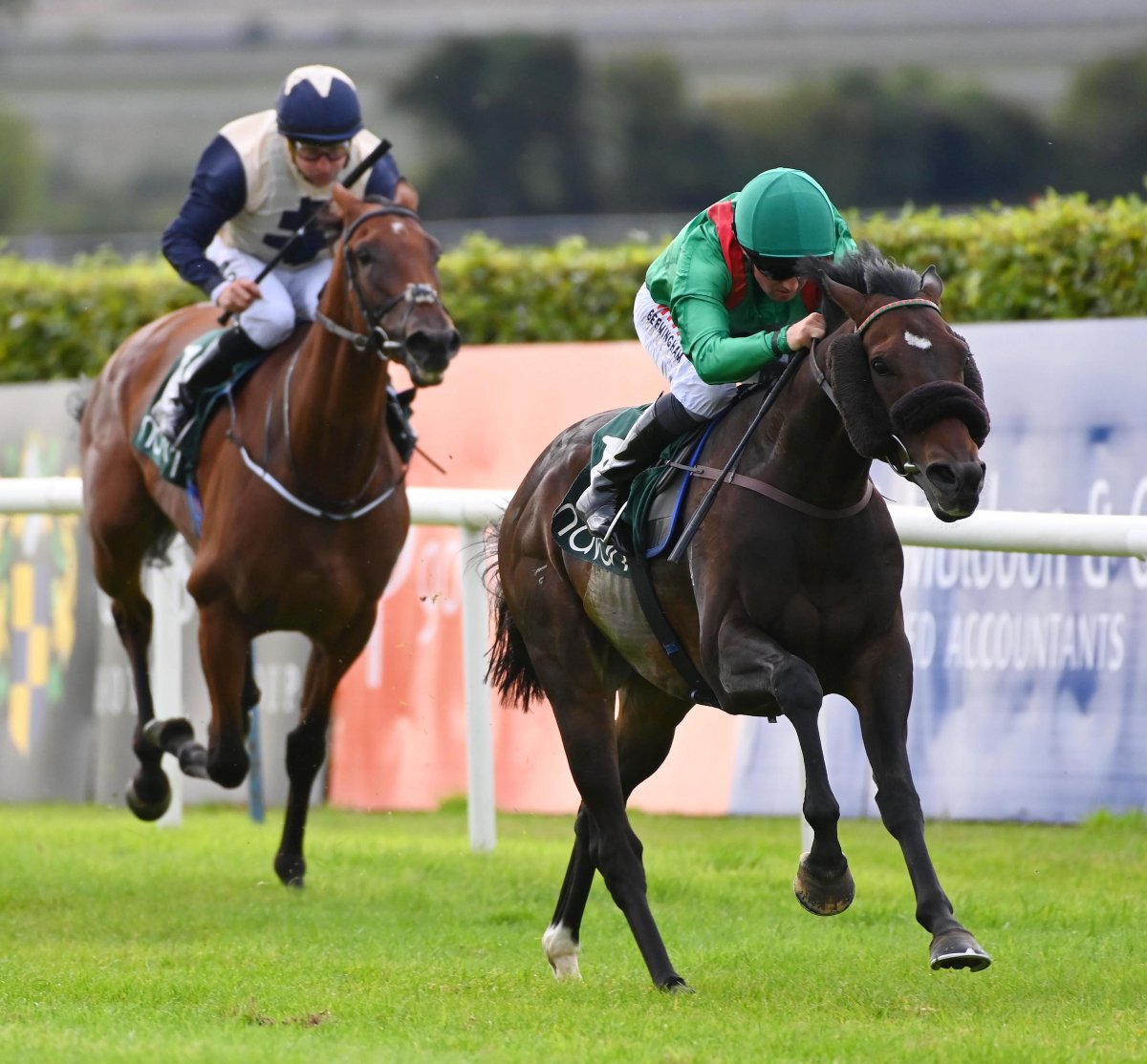 AgaKhanStuds's tweet photo. 🥇 A well deserved win for #Handani, who had been placed in his three previous starts and broke his maiden at @NavanRacecourse today.
Handani is the first foal of Stakes winner #Haparanda, a half-sister to Gr.3 winner #Hazapour, from the family of dual Gr.1 winner #Harzand. https://t.co/7X8eviwCmu